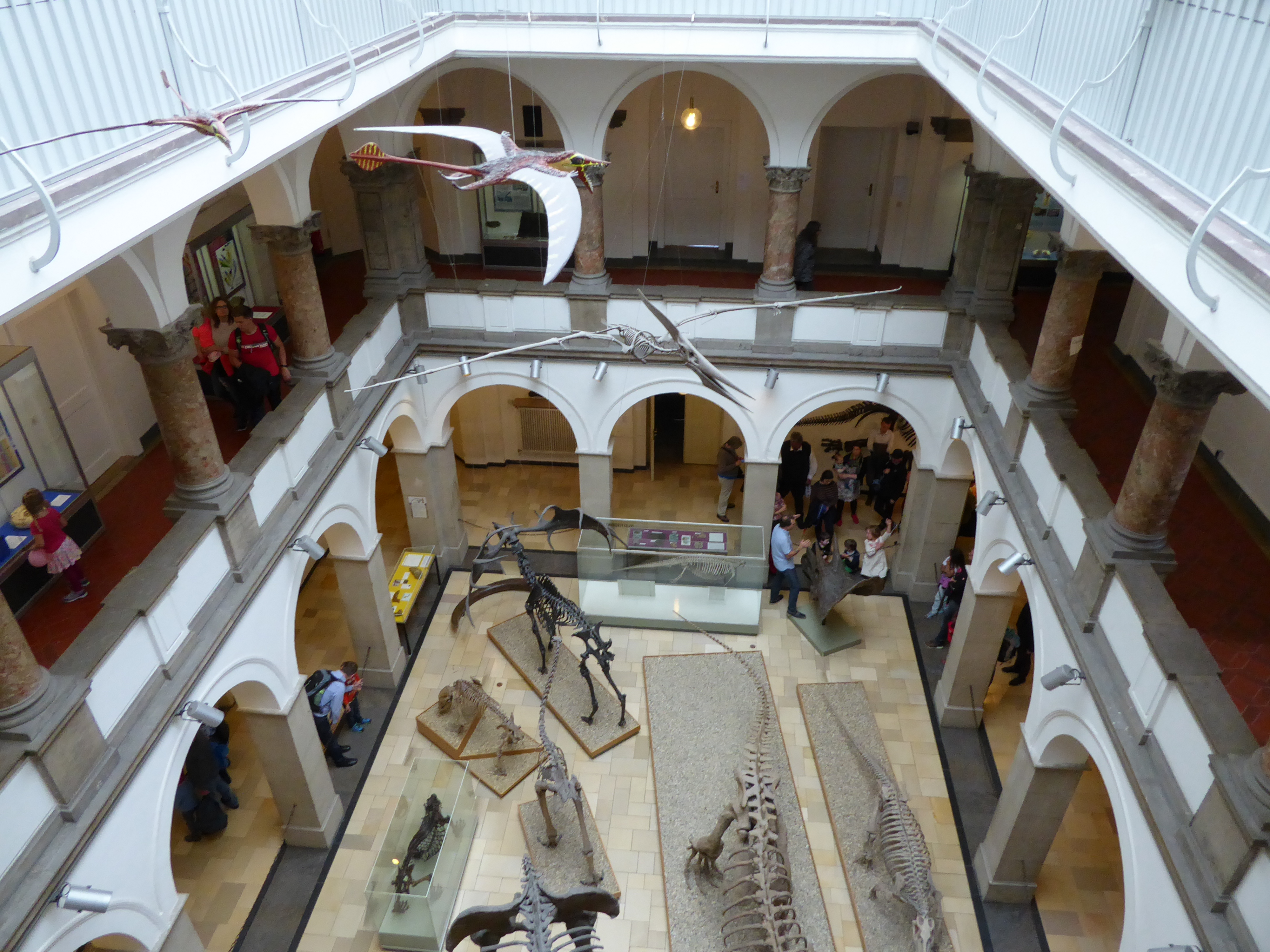 Lichthof Paläontologisches Museum