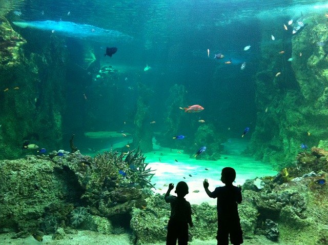 Sealife im Münchner Olympiapark