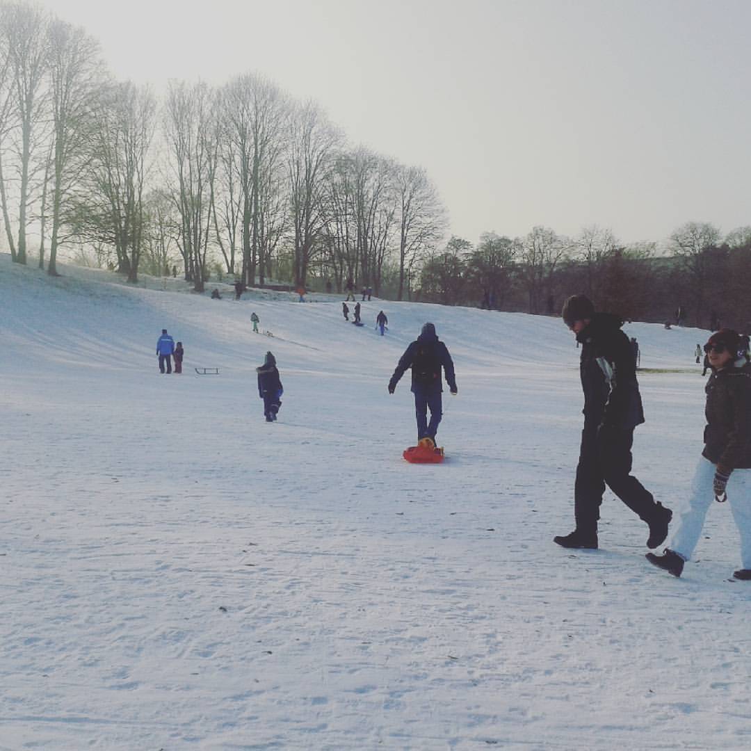 Winter im Luitpoldpark