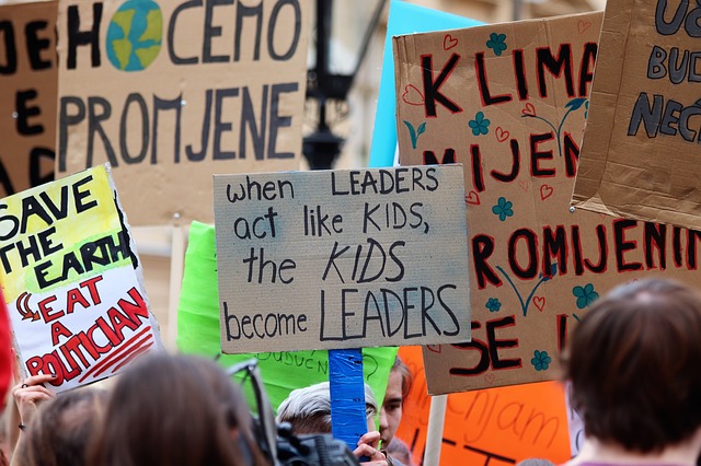 Fridaysforfuture - Demonstration für mehr Klimaschutz